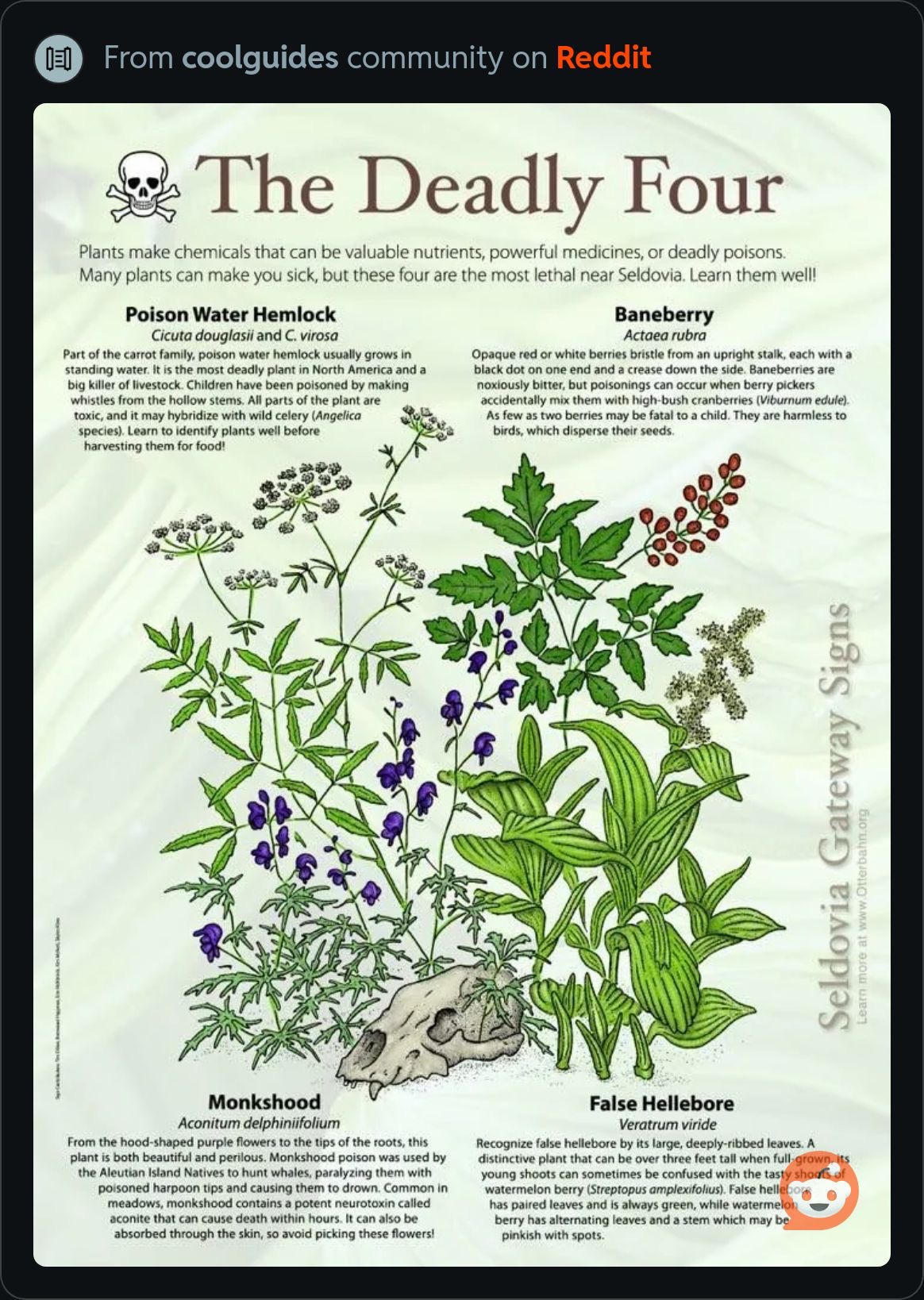 TheDeadlyFourPlants.jpeg