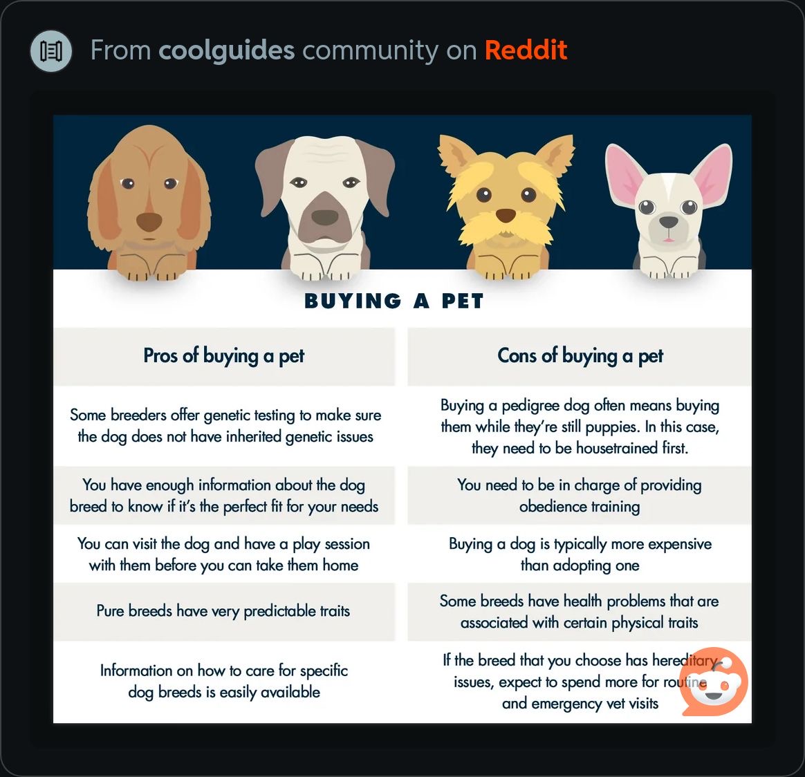 BuyingAPet.jpeg