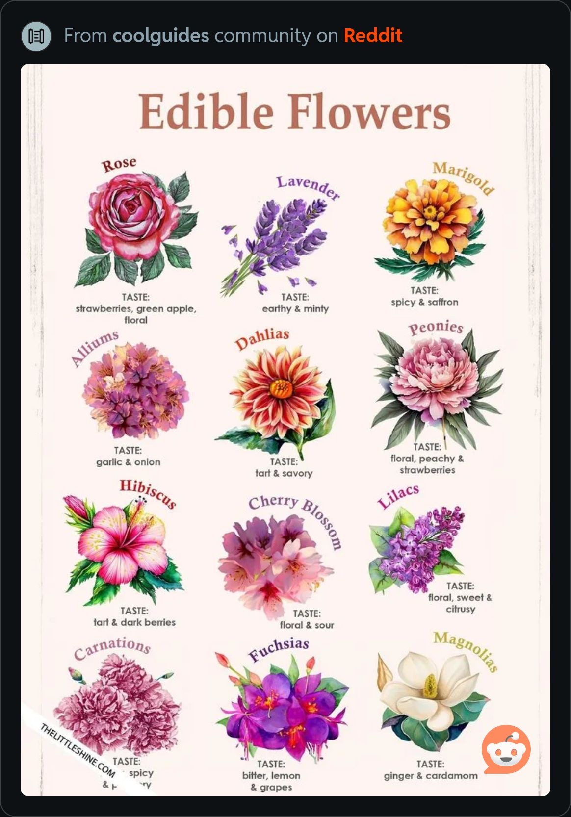 EdibleFlowers.jpeg