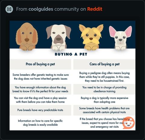 BuyingAPet.jpeg