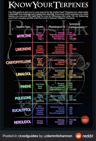 Terpenes.jpeg