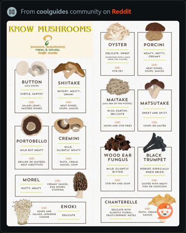 KnowMushrooms.jpeg