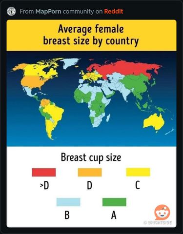 AverageBreastSize.JPG