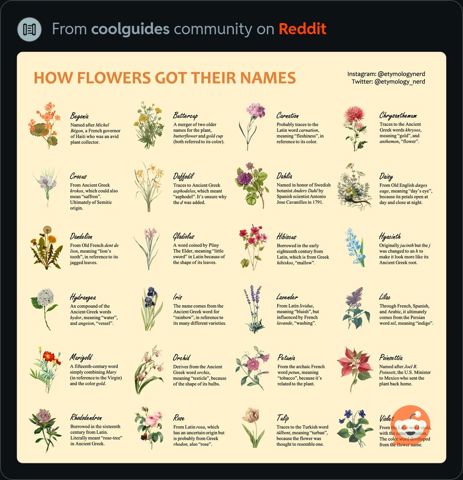 HowFlowersGotTheirNames.jpeg