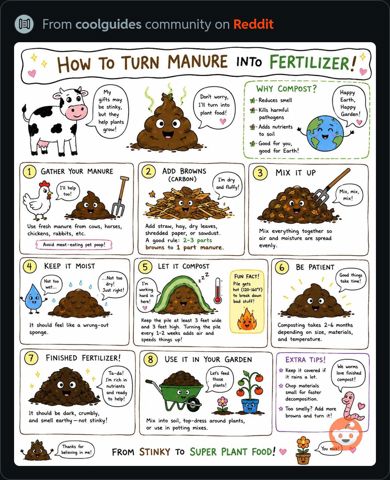 ManureIntoFertilizer.JPG