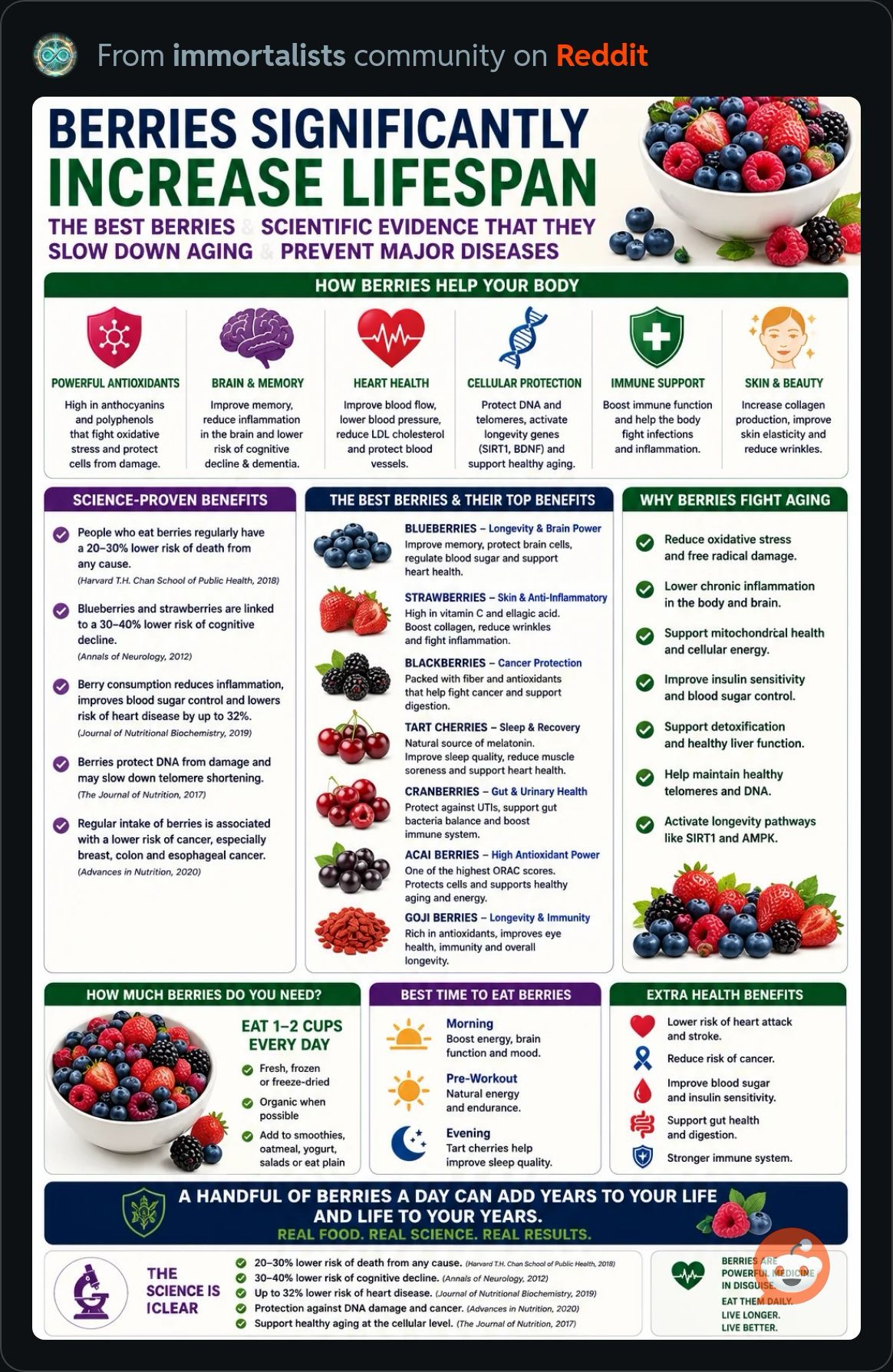 Berries.JPG