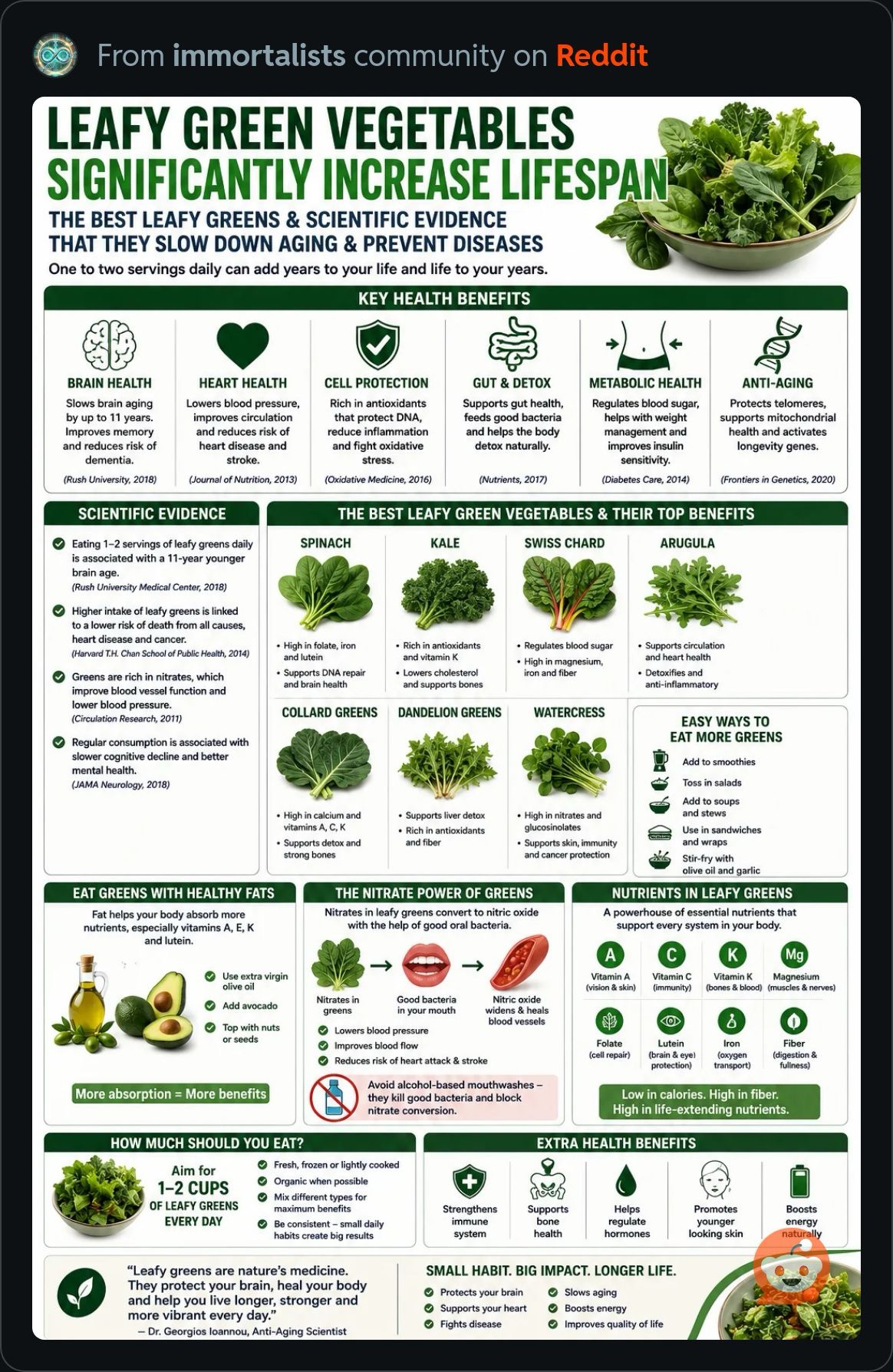 LeafyGreenVegetables.JPG