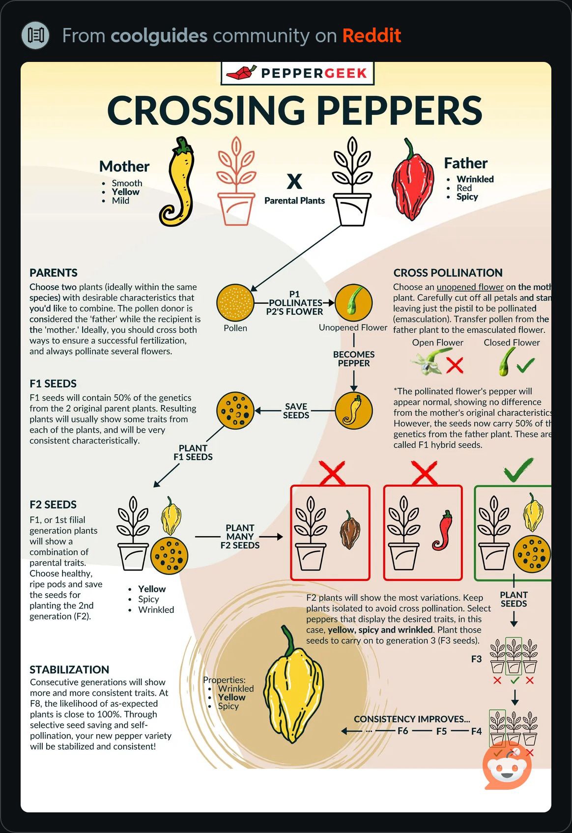 CrossingPeppers.JPG