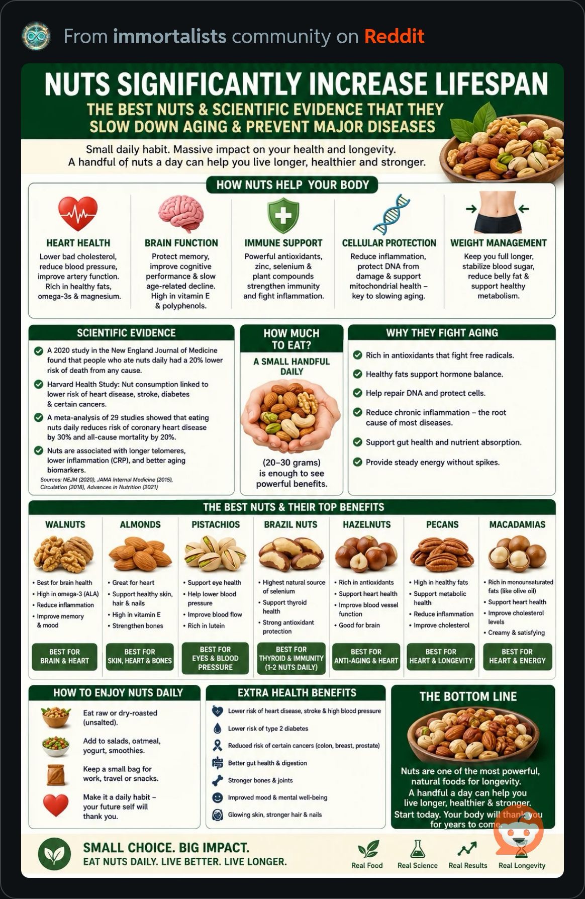 Nuts.JPG