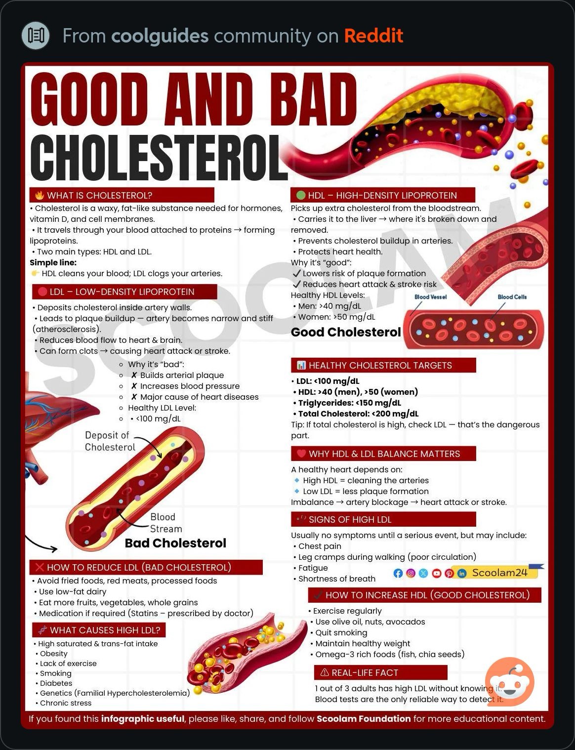 GoodAndBadCholesterol.JPG