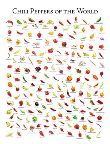ChilliPeppers.JPG