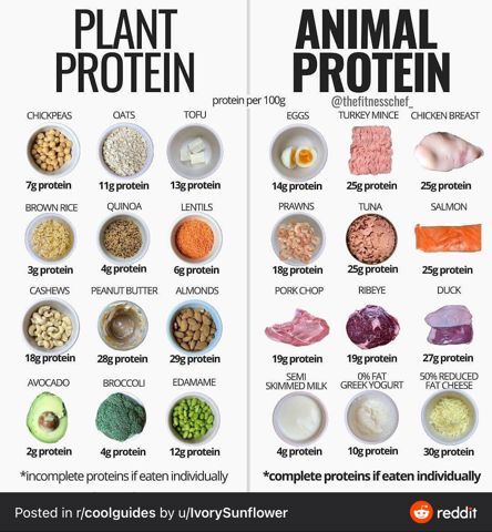 ProteinContent.jpeg