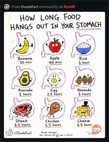 HowLongFoodHangsInStomach.JPG