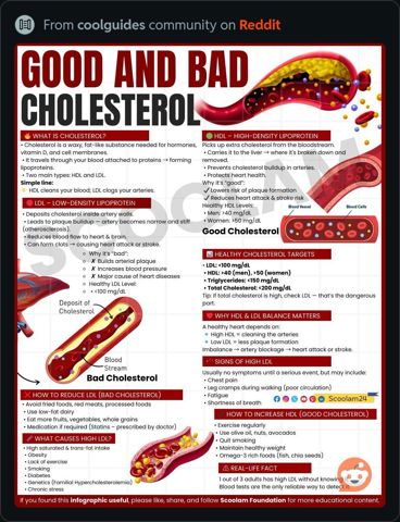 GoodAndBadCholesterol.JPG