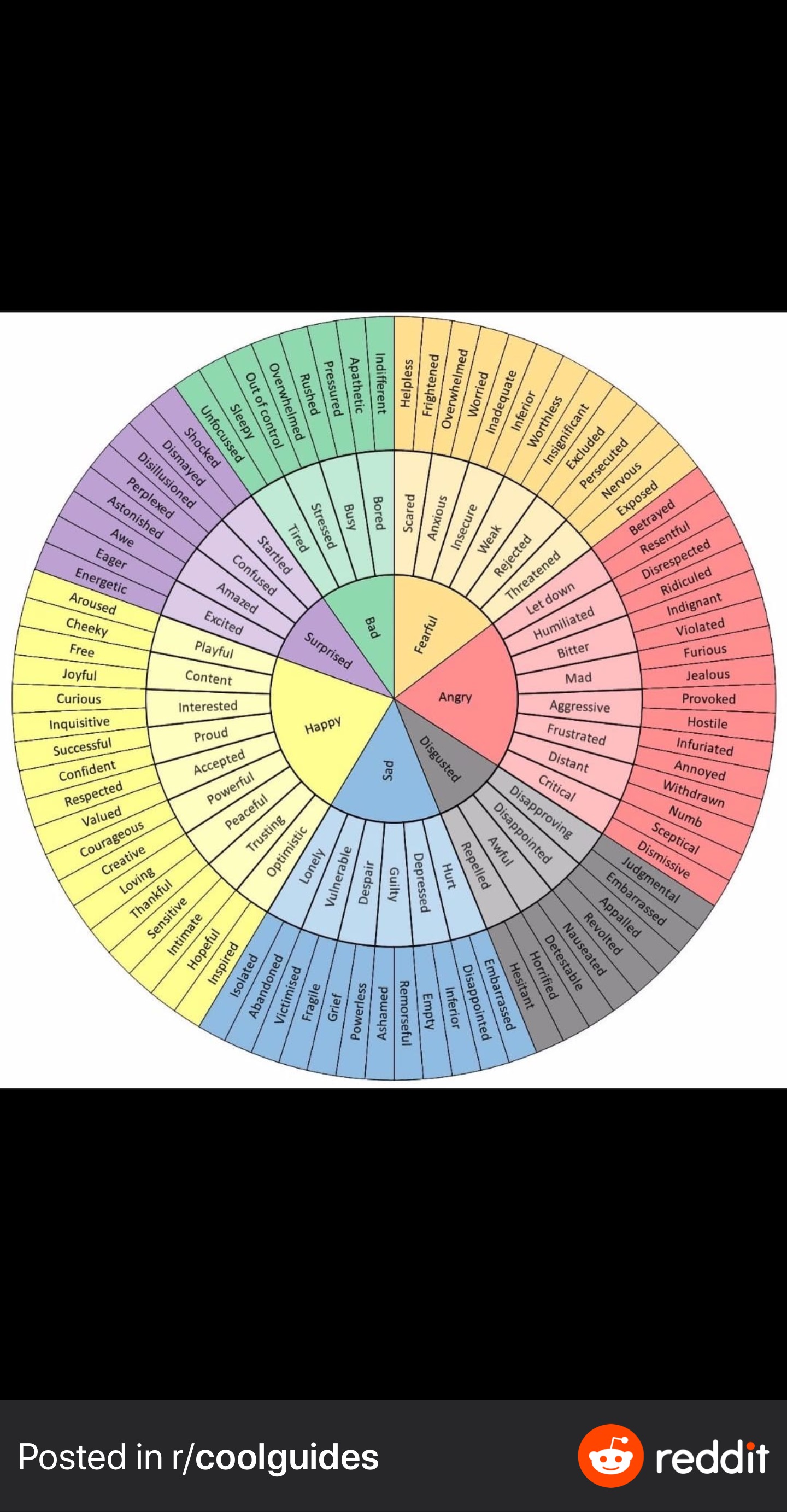 FeelingsWheel.JPG
