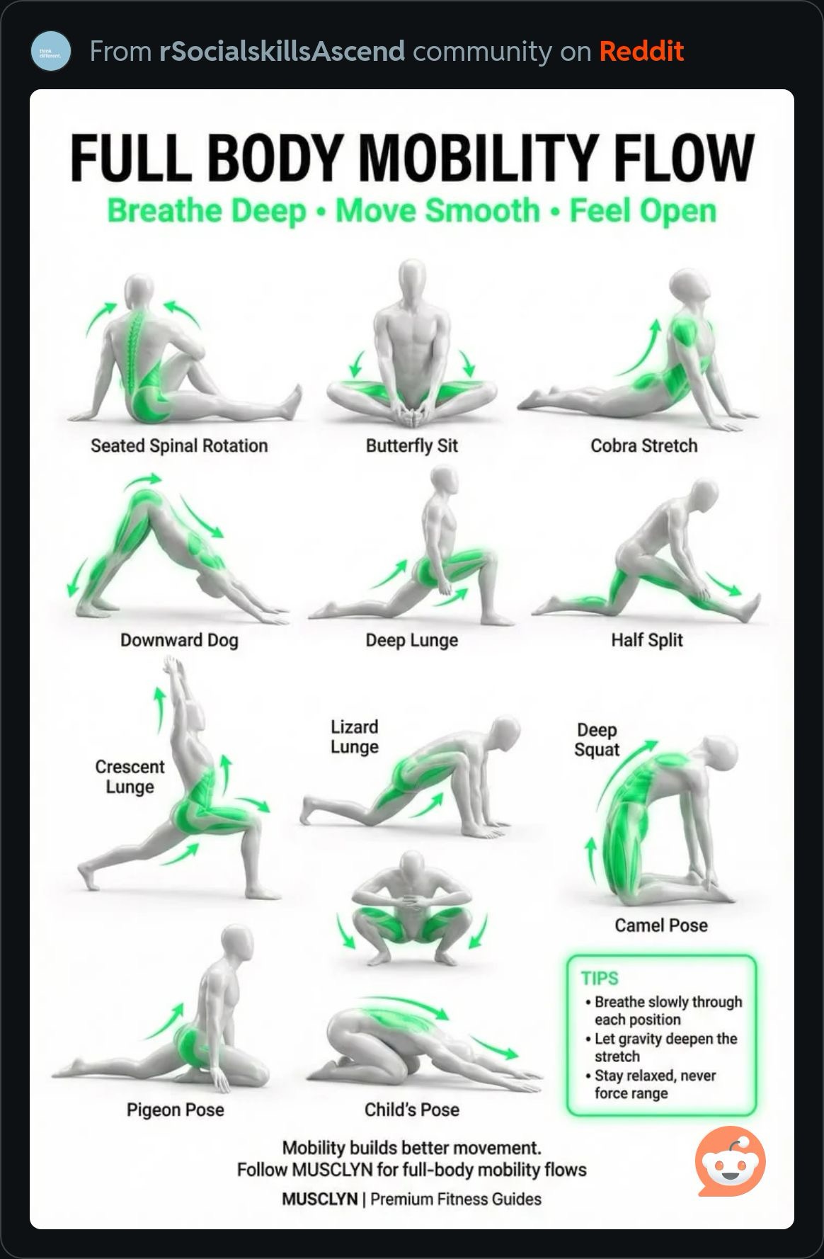 FullBodyMobilityFlow.JPG