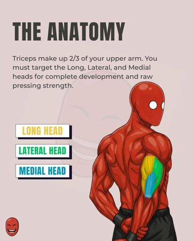 Tricep2.JPG