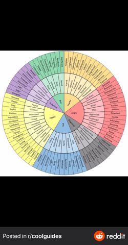 FeelingsWheel.JPG
