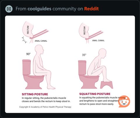 SittingPosture.jpeg