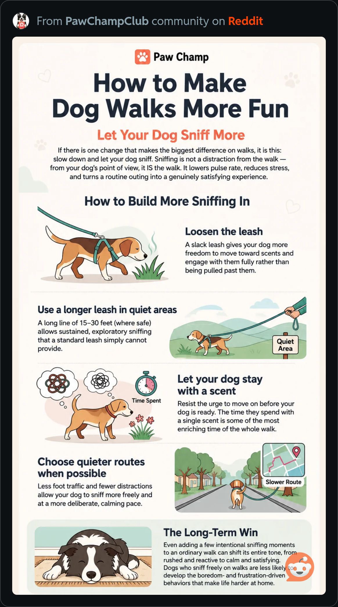 MakeDogWalksMoreFun.JPG