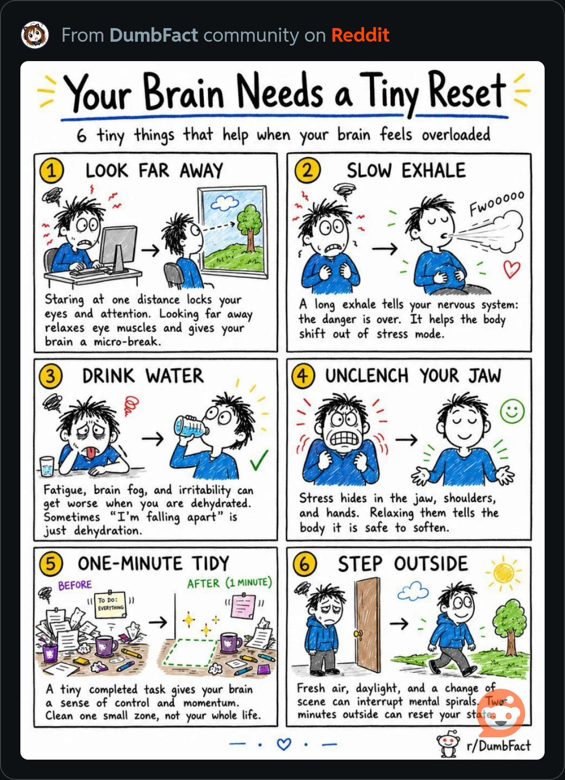 BrainReset.JPG