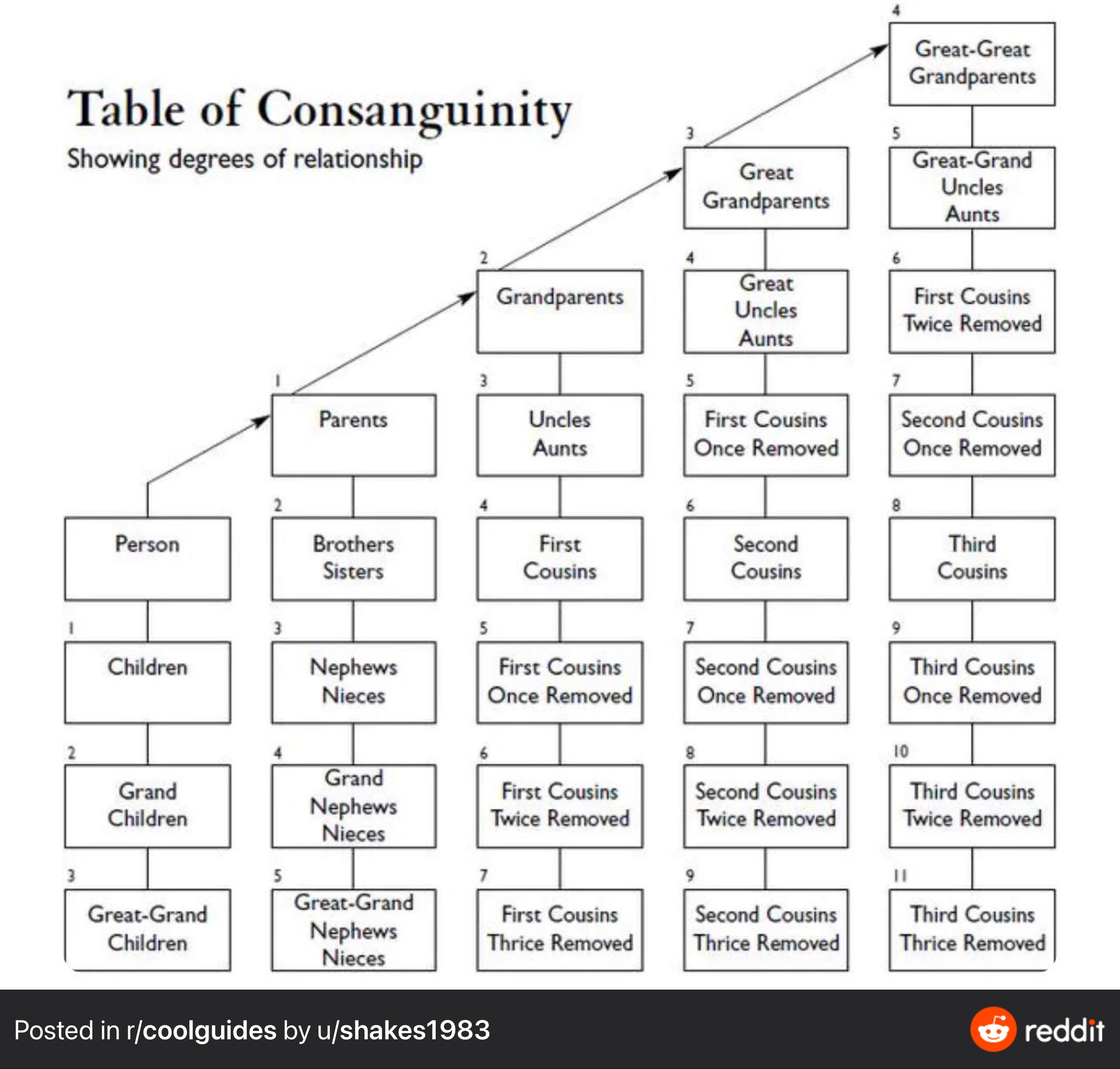 TableOfConsanguinity.jpeg