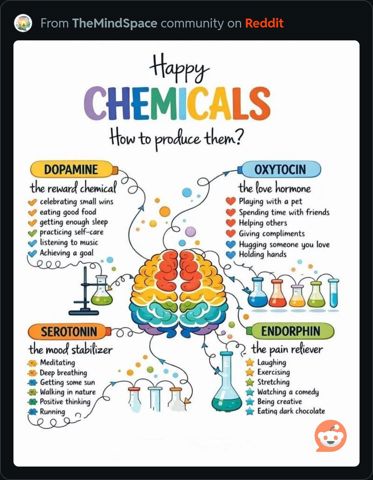 HappyChemicals.JPG